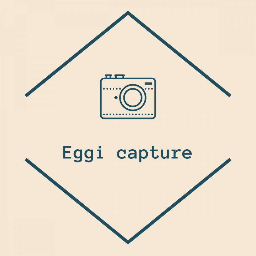 Eggi Capture